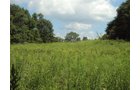 Property photo 4 - AUCTION CANCELLED TONIGHT!! SOLD Prior to Auction! 84+/- Acres Offered in 4 Tracts